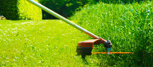 entretien de jardin et de champs