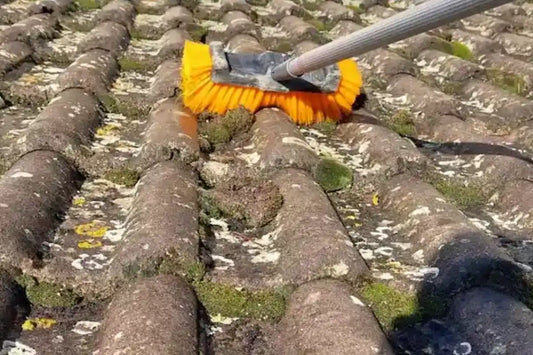 Brosse à poils durs sur une toiture en tuiles pour nettoyer la mousse avec une perche télescopique