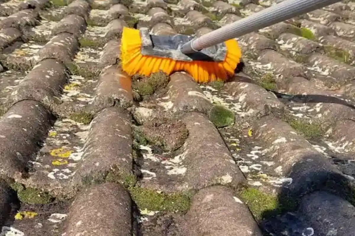 Perche télescopique avec brosse dur de nettoyage, en action entrain de nettoyer une toiture